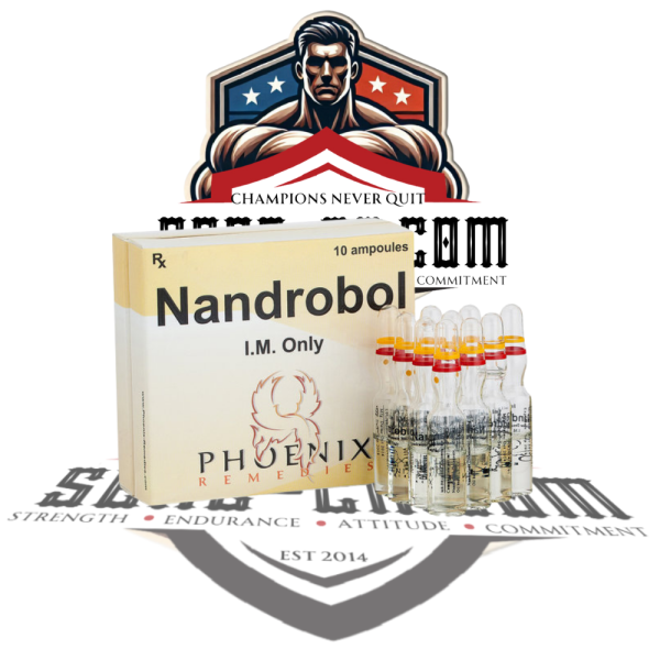 NandroBol